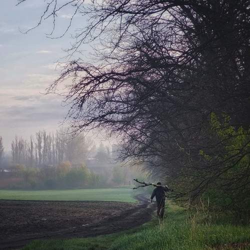 Photo #7555014