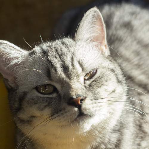 Photo #7555083