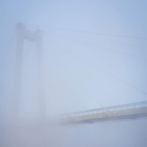 Photo #7555132