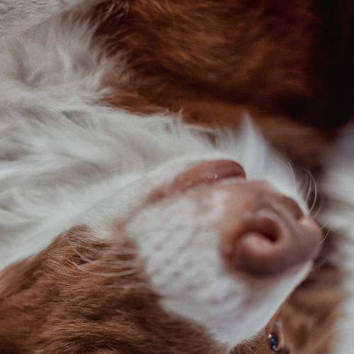 Photo #7555252