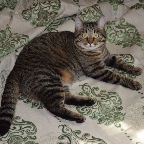 Photo #7555413