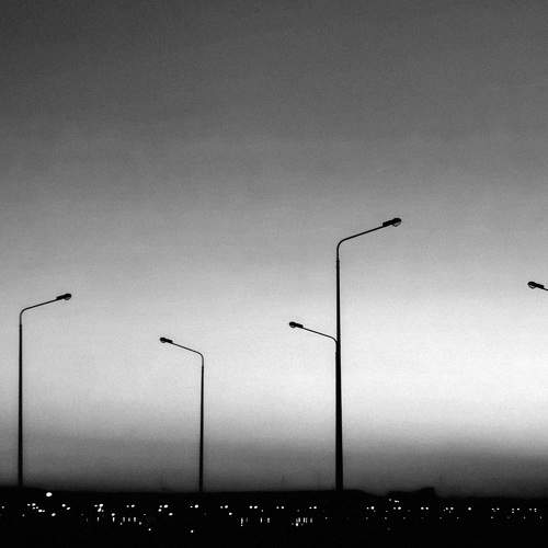Photo #7555504