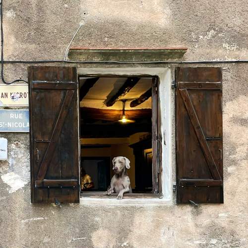 Photo #7555523