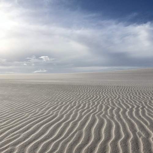 Photo #7555524