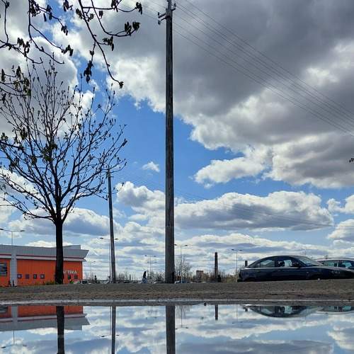 Photo #7555540