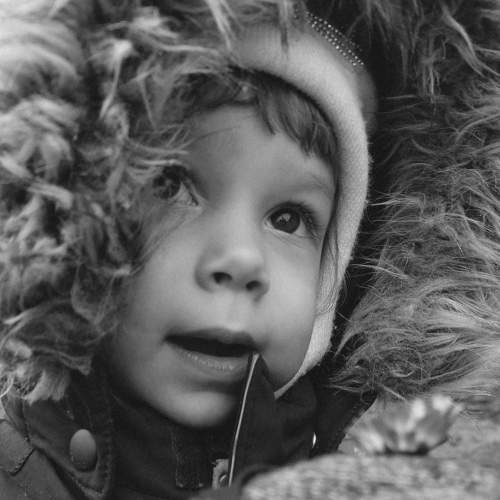 Photo #7555560