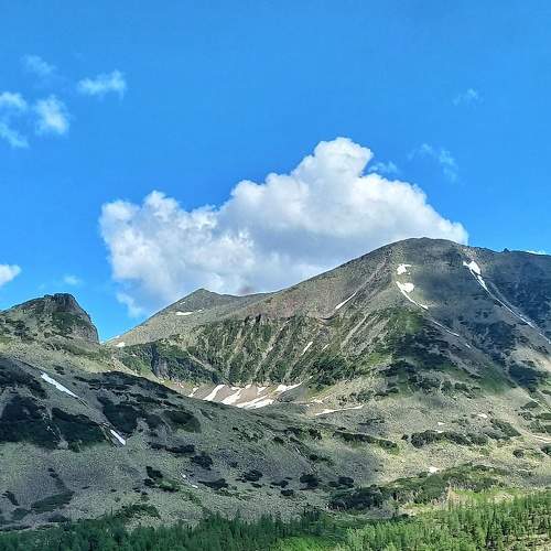 Photo #7555579