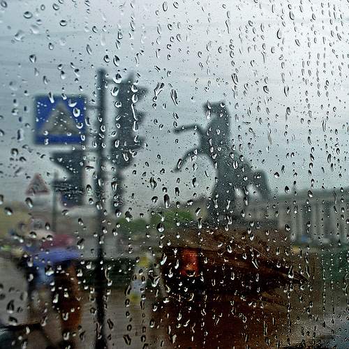 Photo #7555640