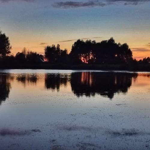 Photo #7555748