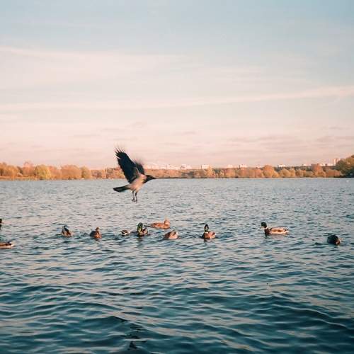 Photo #7555871