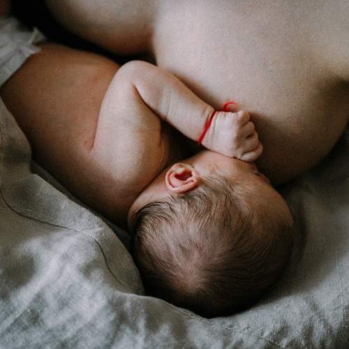Photo #7556693