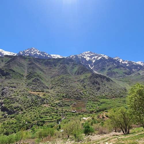 Photo #7556830