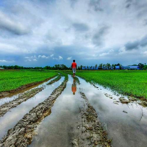 Monsoon in westbengal .