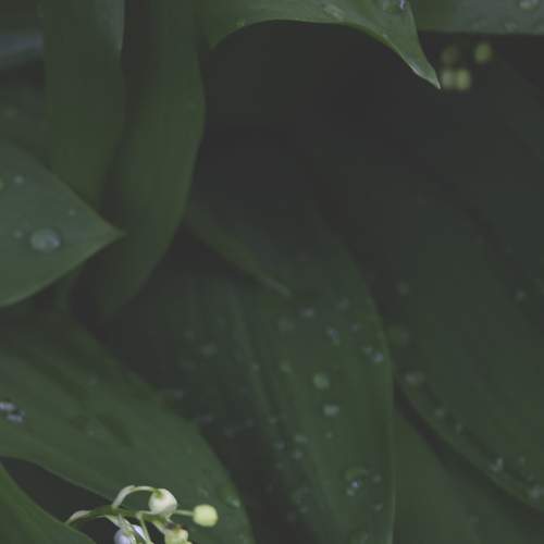 Photo #7557690