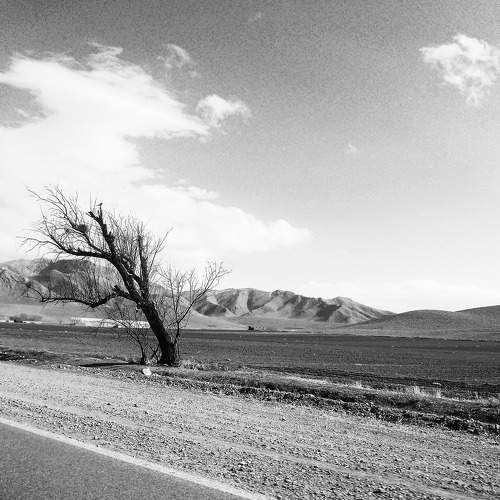 Photo #7557729
