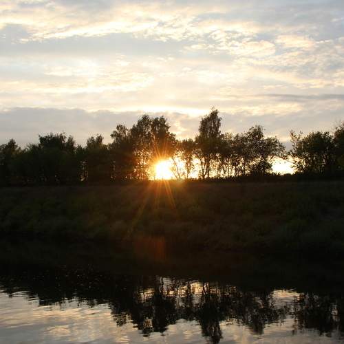 Photo #7558206