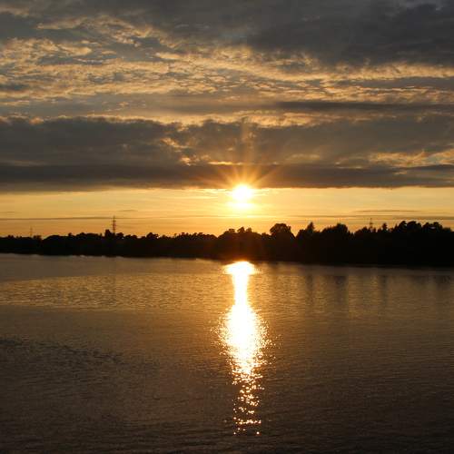 Photo #7558223