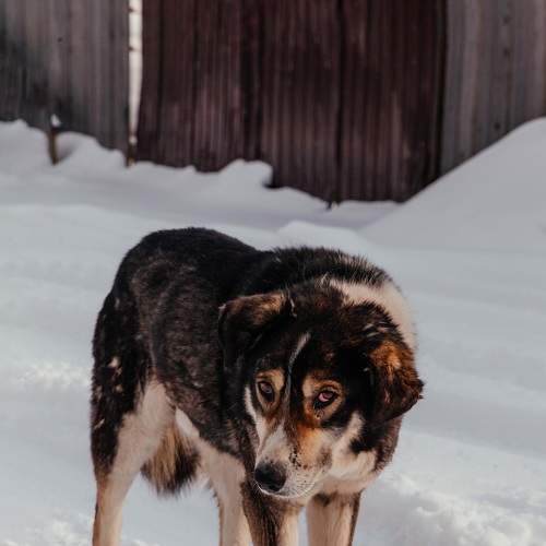 Photo #7558332