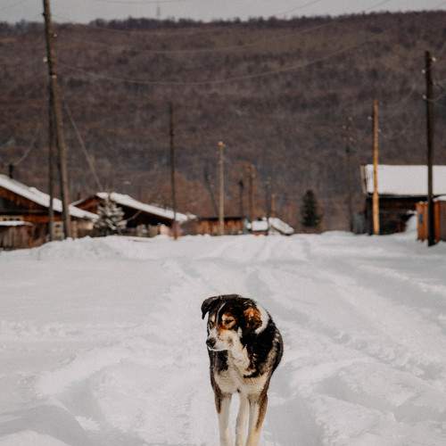 Photo #7558334