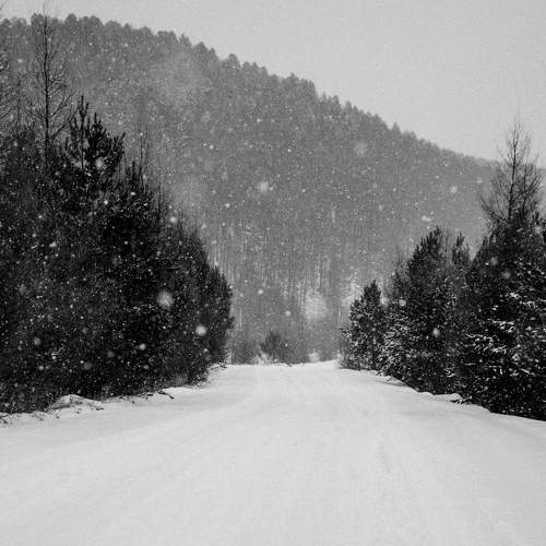 Photo #7558341