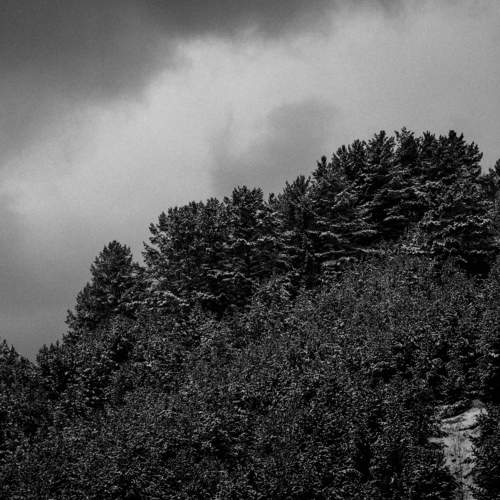 Photo #7558361