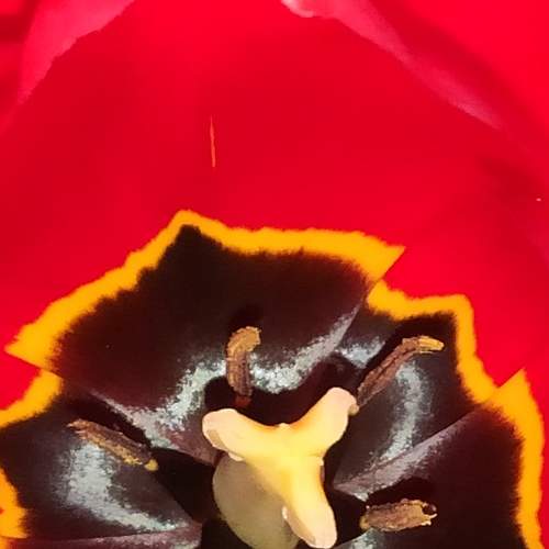 Photo #7558448