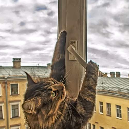 Photo #7558868