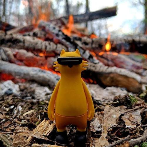 Photo #7558939
