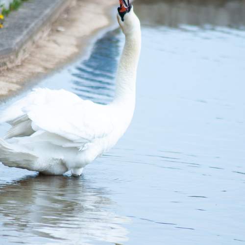Photo #7559098