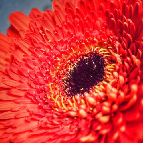 Photo #7559149