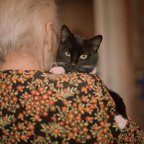 Photo #7559483