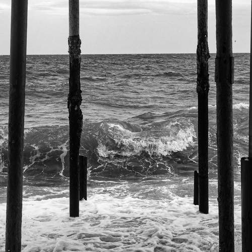 Photo #7559599