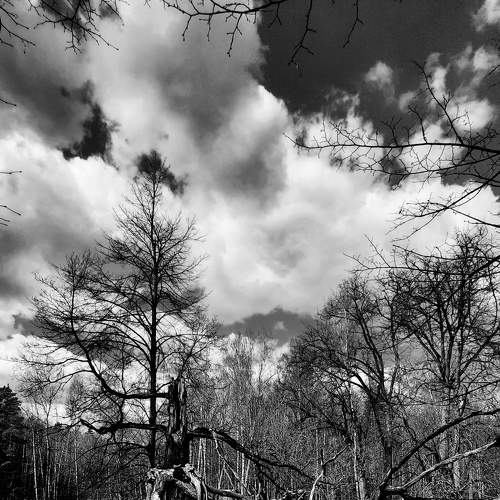 Photo #7559694