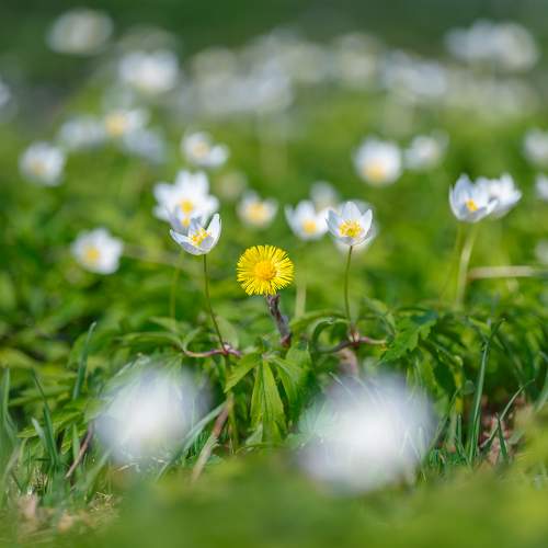 Photo #7559740