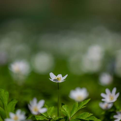 Photo #7559750