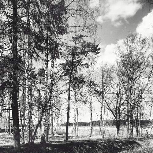 Photo #7559787