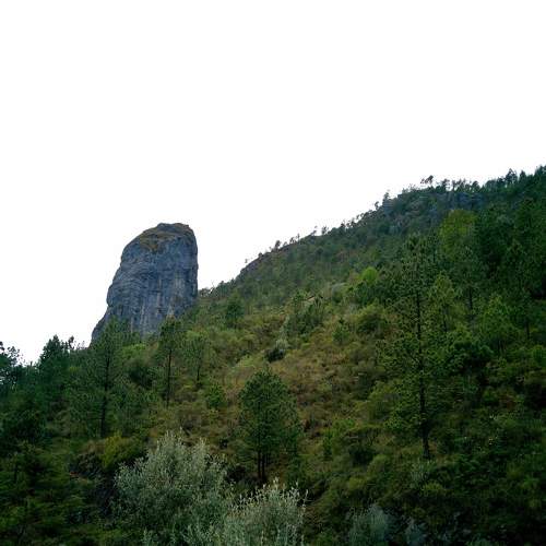Photo #7559855