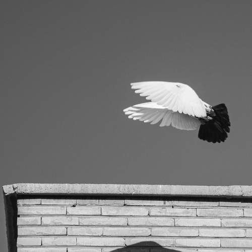 Photo #7559869