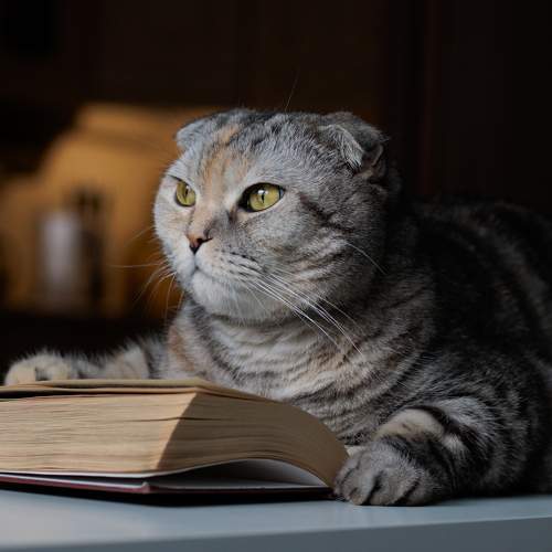 Photo #7560379