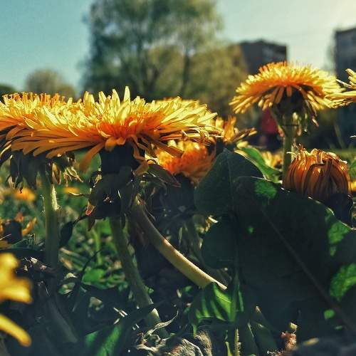 Photo #7560647