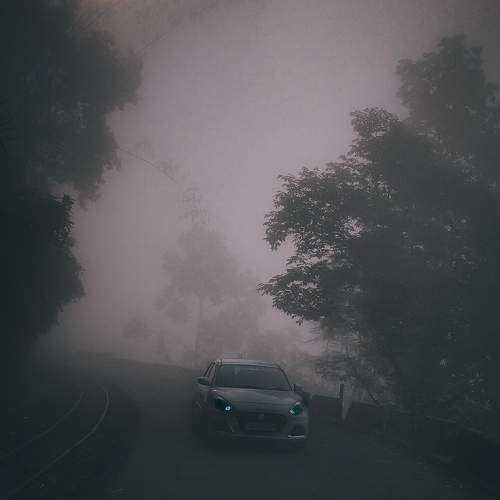 Photo #7561464