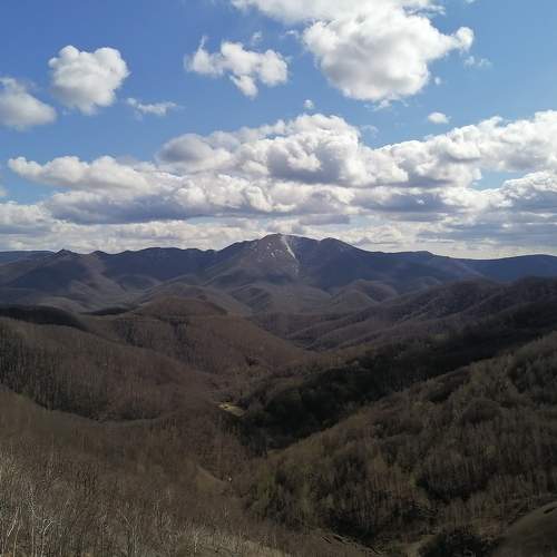 Photo #7561629