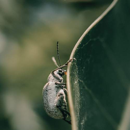 Photo #7561954