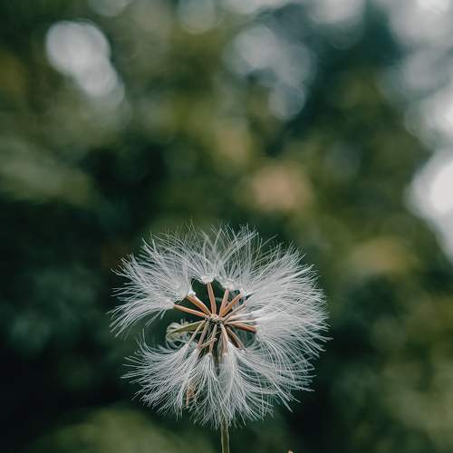 Photo #7561971