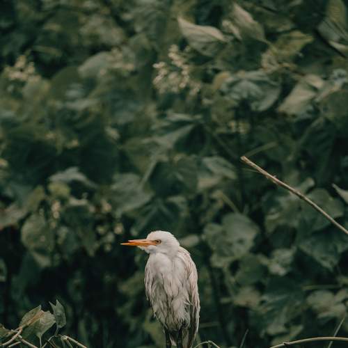 Photo #7562002