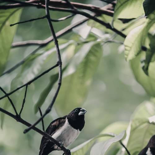 Photo #7562030
