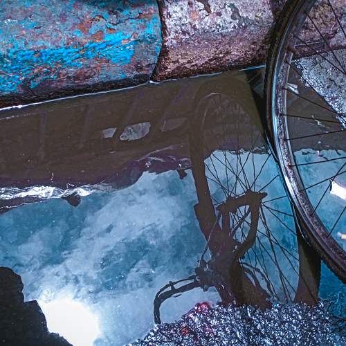 Photo #7562115