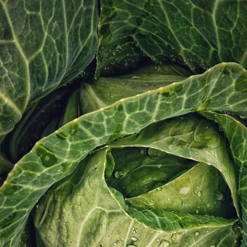 Photo #7562282