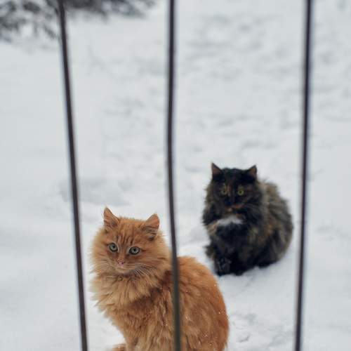 Photo #7562299