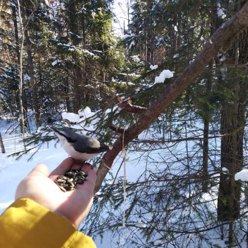 Photo #7562593